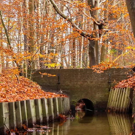 假日公园 Haas 许尔斯霍斯特