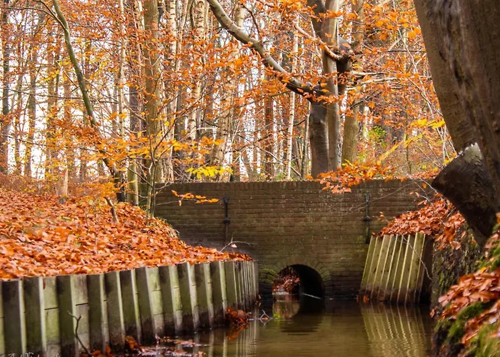 Tatil parkı Haas Hulshorst