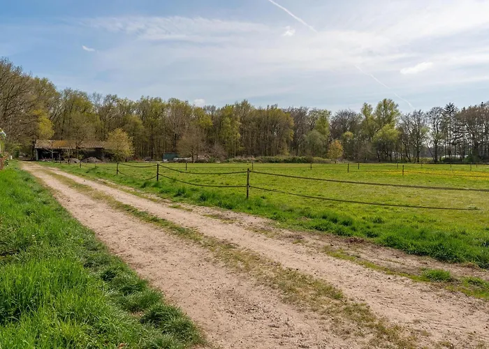 Vakantiepark Haas Hulshorst