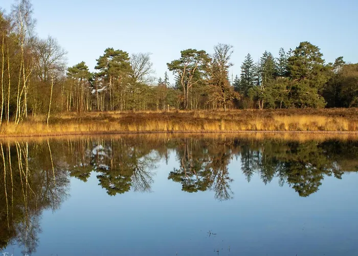 Vakantiepark Haas Hulshorst